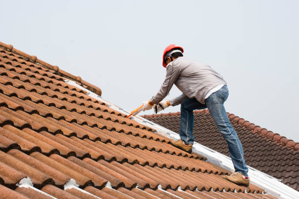 Best Roof Maintenance and Cleaning  in Hyde, PA